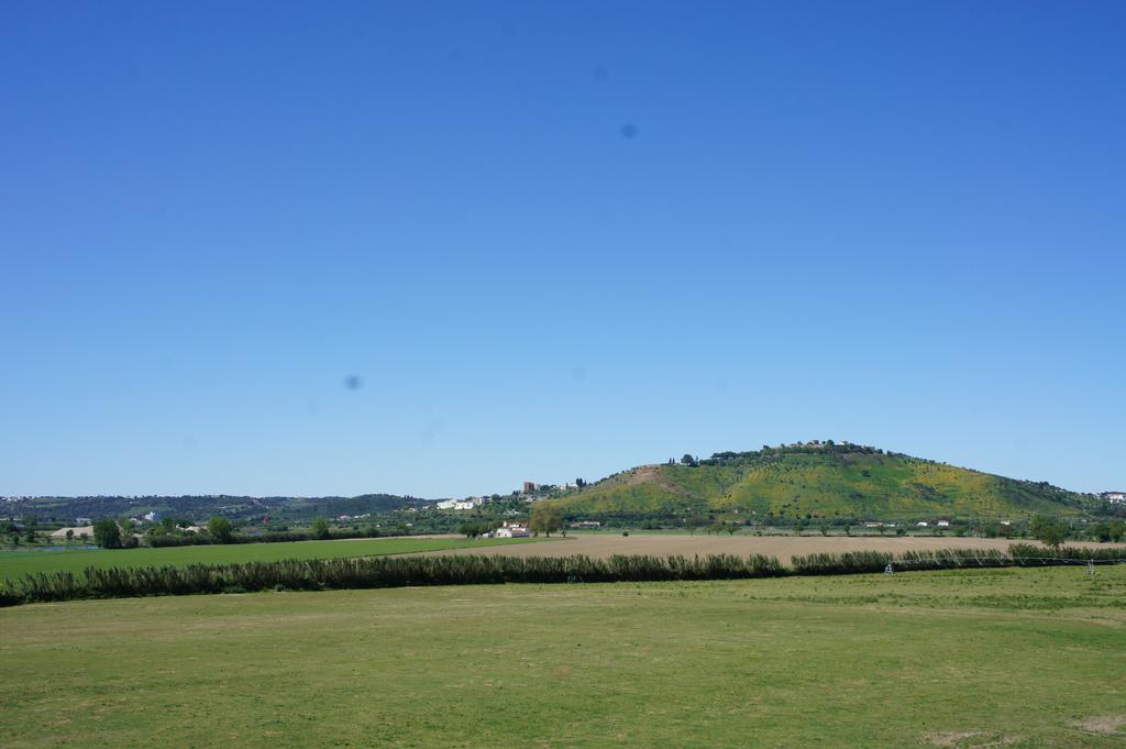 Quinta das Arribas Guest House Abrantes Luaran gambar